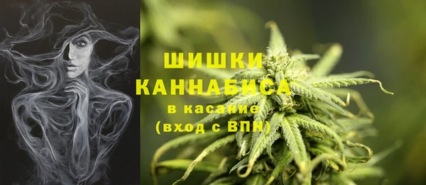 СК Балашиха