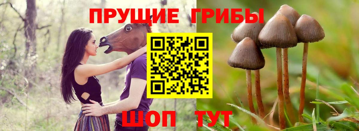 как найти наркотики  Галлюциногенные грибы Cubensis  Вход с VPN  Нефтеюганск 